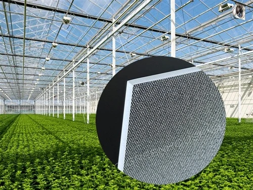 Những yếu tố nào ảnh hưởng đến khói mù của kính nhà kính?